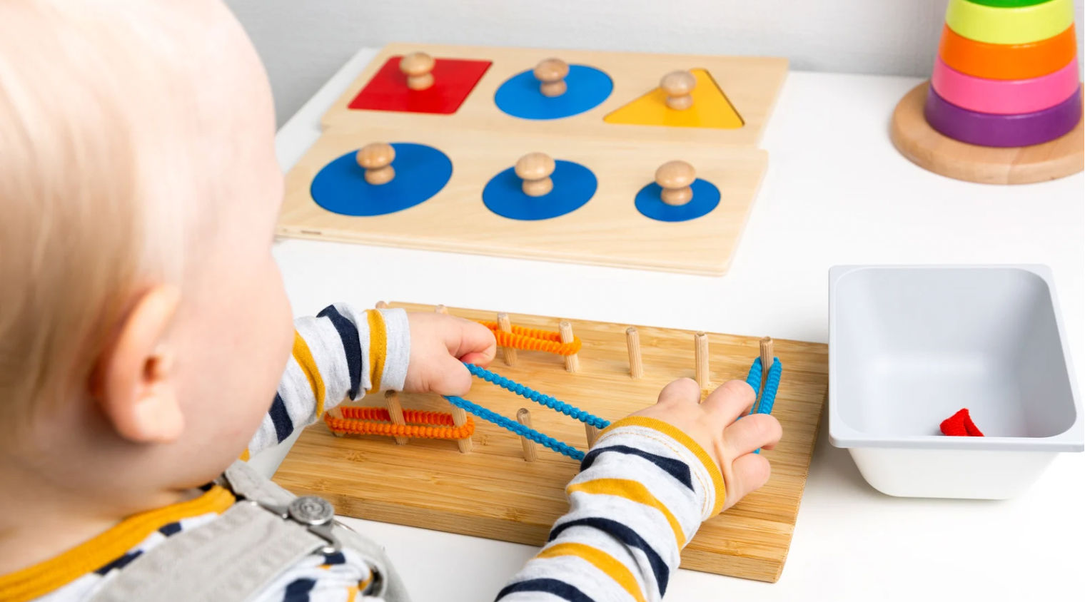 Little Hands, Big Discoveries